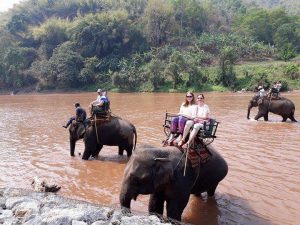 riding elephants in Thailand