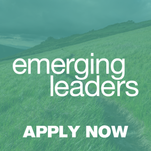Homepage ad button to apply for IM's Emerging Leaders program