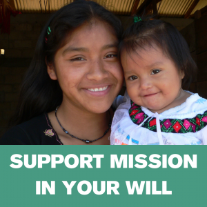 Web ad - support mission in your will